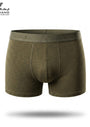 Boxer Design  ITA3 _ 003