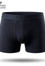 Boxer Design ITA 003
