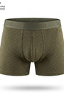 Boxer Design ITA 003