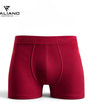 Boxer Italiano 001