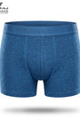 Boxer Design  ITA3 _ 003
