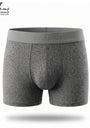 Boxer Design  ITA3 _ 003