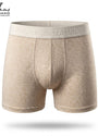 Boxer Design  ITA3 _ 003