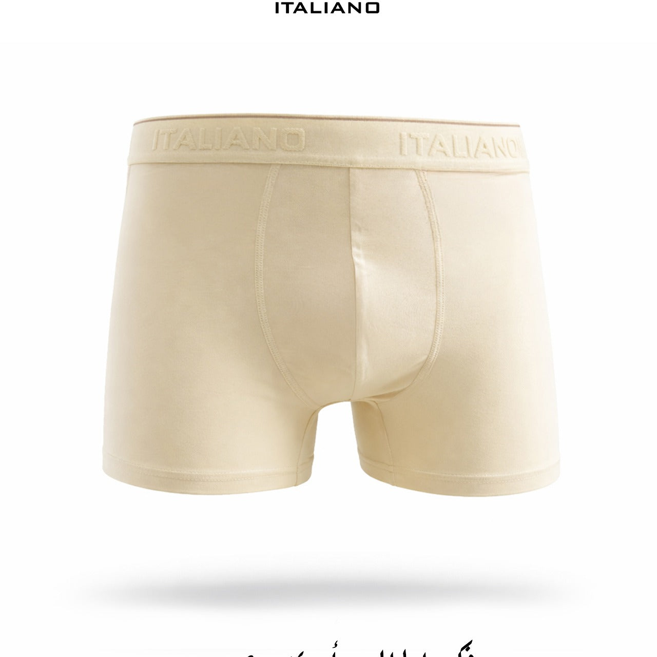 Boxer Italiano 001